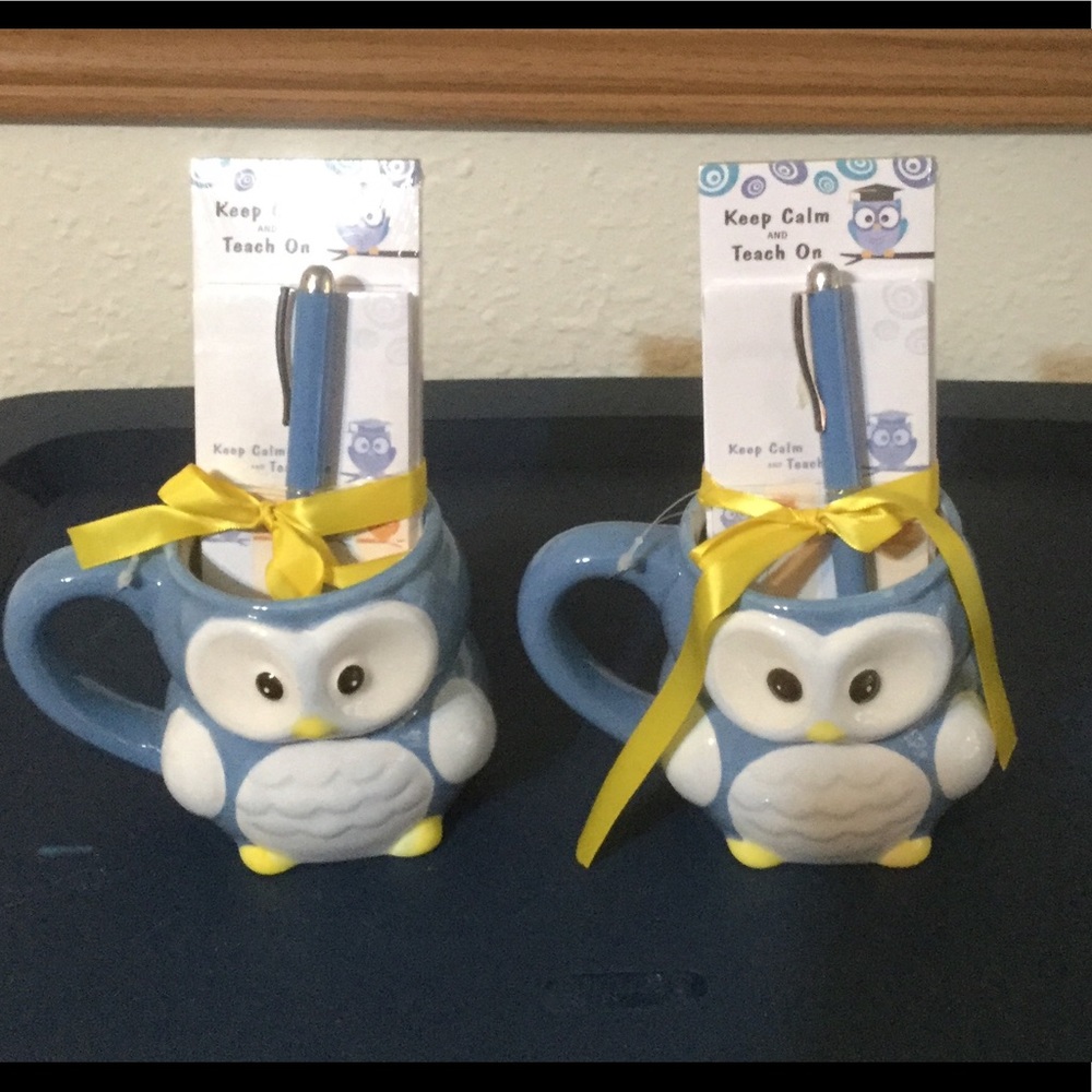New bundle of 2 Teacher Owl Mugs